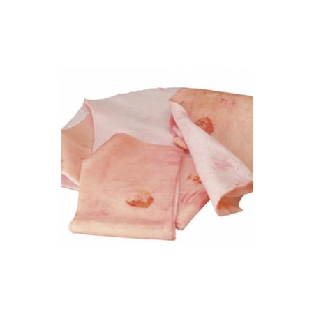 COTENNE DI SUINO SV IT